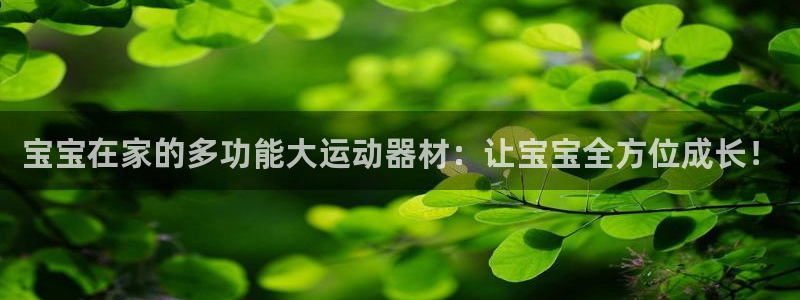 征途国际招商电话号码是多少号:宝宝在家的多功能大运动器材:让