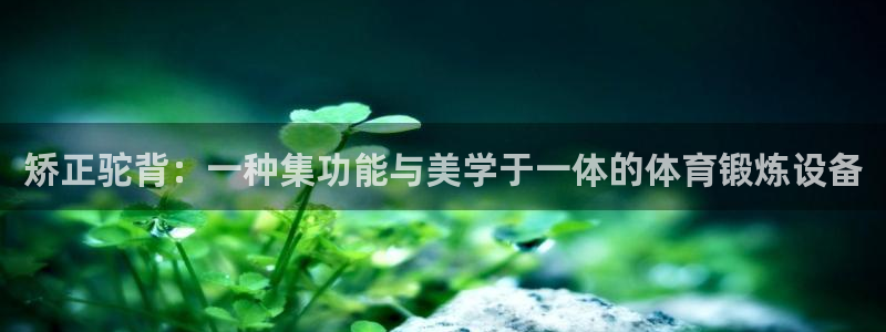 征途国际平台注册要钱吗是真的吗:矫正驼背:一种集功能与美学于