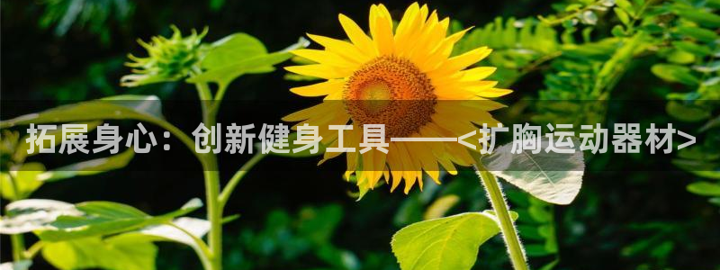 征途国际开户:拓展身心:创新健身工具——<扩胸运动器材>