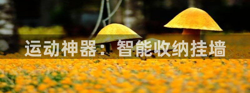 征途国际集团官网首页网址:运动神器:智能收纳挂墙