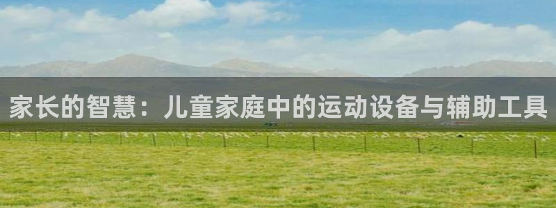 征途国际娱乐首页官网下载:家长的智慧:儿童家庭中的运动设备与
