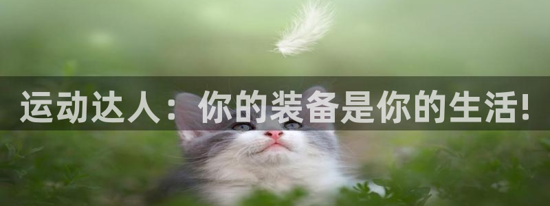 征途国际娱乐代理怎么样:运动达人:你的装备是你的生活!